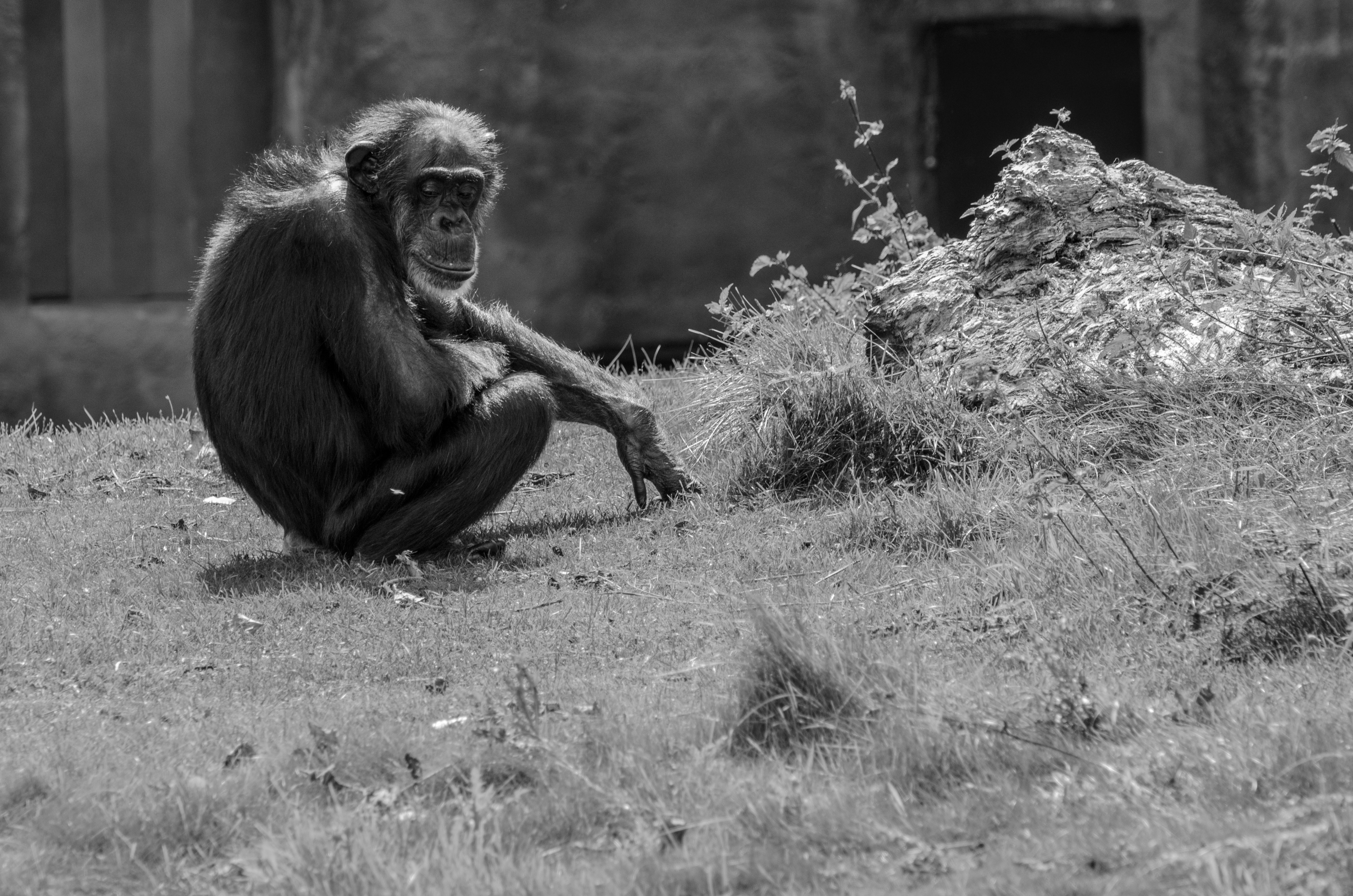 In Boé  (Guinea Bissau) people believe in the spirits of the forest: this protects the environment