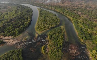 Corubal – The last wild river in West Africa